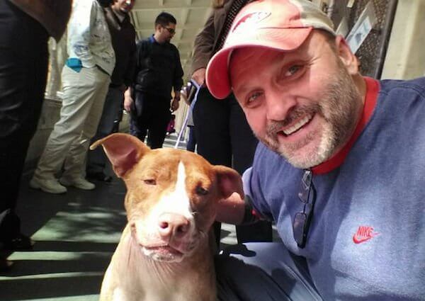 Pit Bull 