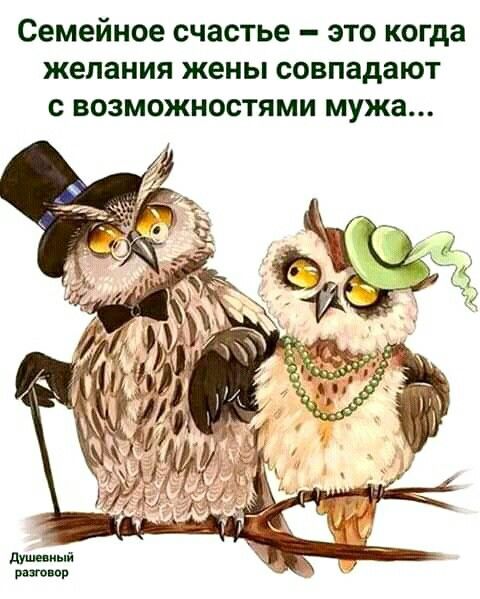 Пришла пора зарядиться позитивом! Подборка зажигательного юмора Пришла пора зарядиться позитивом! Подборка зажигательного юмора