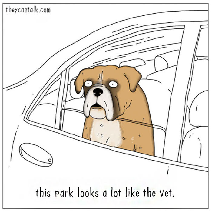 Funny Animal Comics