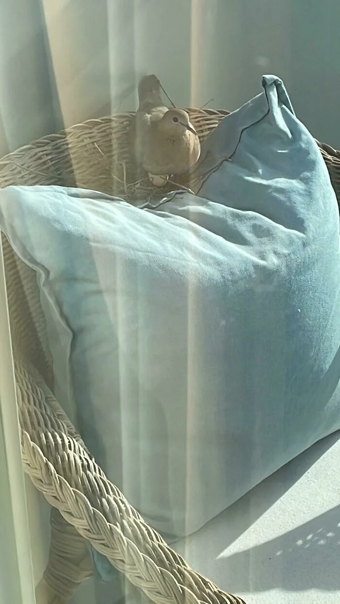 Bigpicture ru без названия 2022 10 10t091921.381