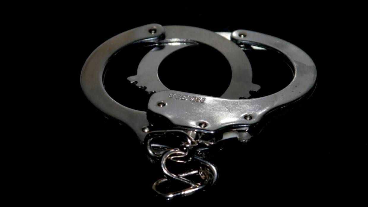 Депутат Госдумы Туров сообщил о задержании российского журналиста Пегова в Молдавии