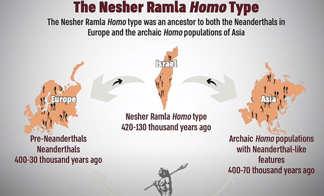 Археологи нашли ранее неизвестный тип людей, которые жили 400 тысяч лет назад НешерРамла, людей, Sapiens, обнаружили, человека, Возможно, этими, между, звене, связующем, Израильские, потерянном, видами, человеком, архаичным, неандертальцами, черты, двумя, предположение, слишком