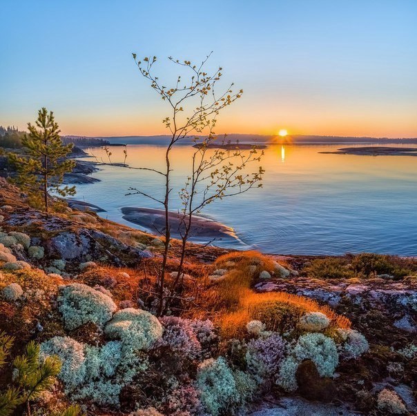 Подборка ночных фотографий и картинок из сети Подборка ночных фотографий и картинок из сети приколы,шикарные фотографии,юмор