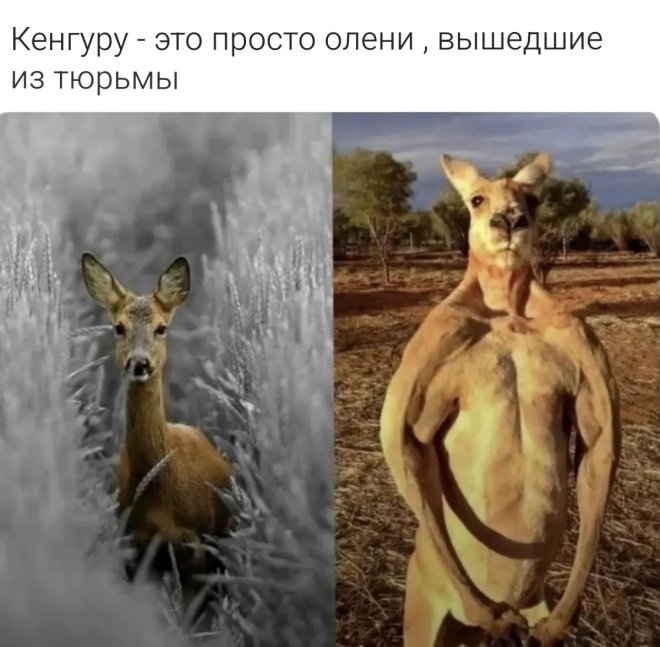 Смешные картинки с надписями и физика для чайников Смешные картинки с надписями и физика для чайников