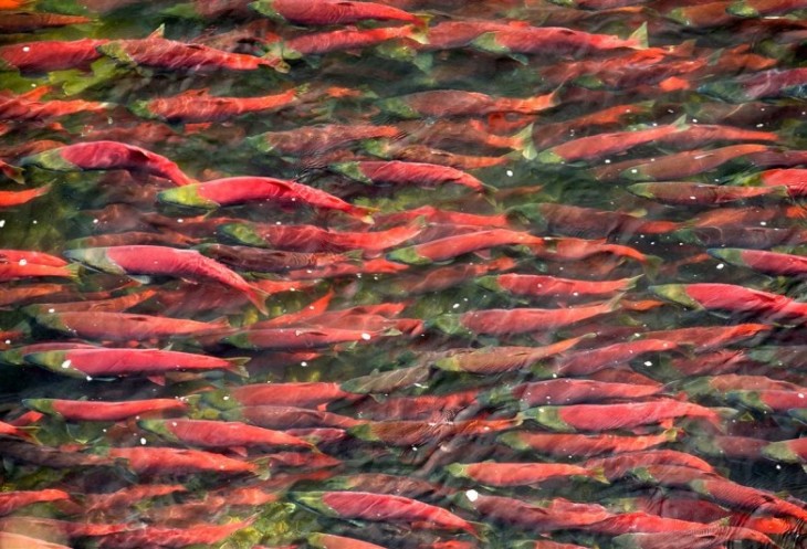 Курильские острова: романтика для истинных путешественников Курильские острова: романтика для истинных путешественников авиатур