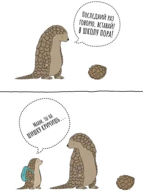 Много фото-приколов Много фото-приколов