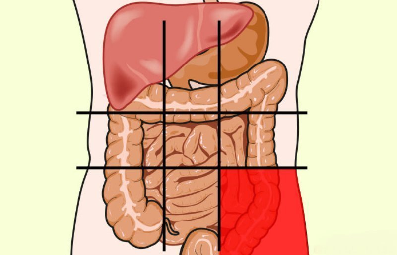 Боль в животе? Посмотрите на карту брюшной полости и определите недуг