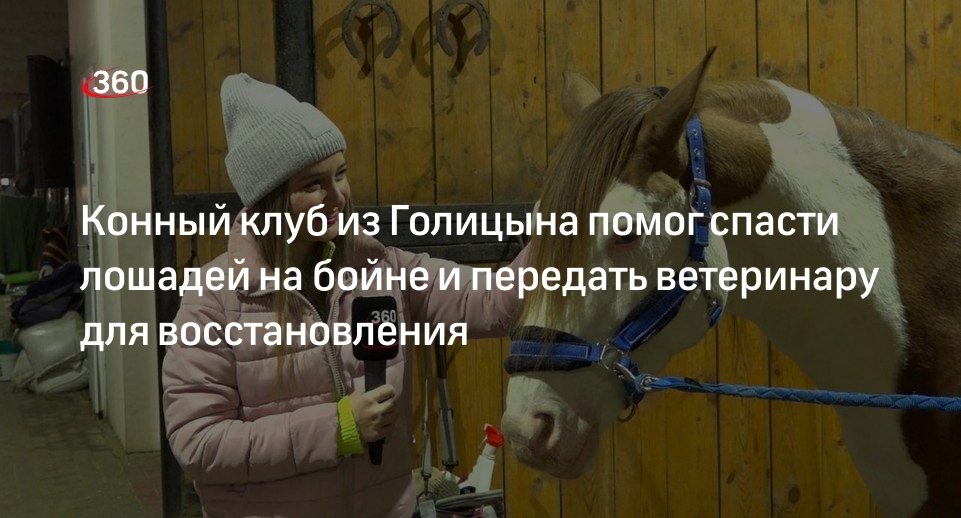 Конный клуб из Голицына помог спасти лошадей на бойне и передать ветеринару для восстановления