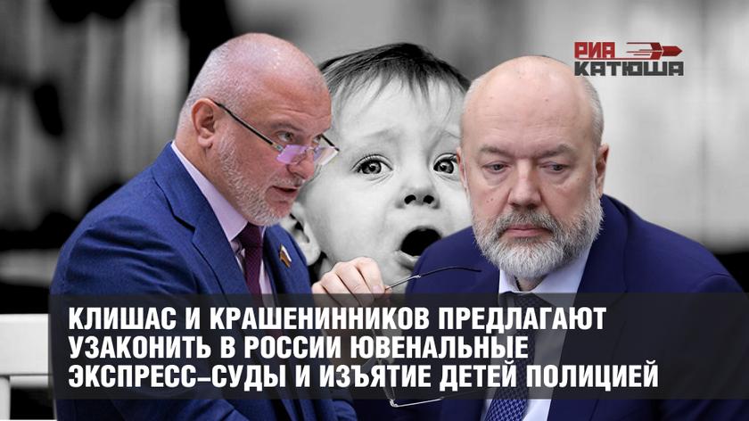 Клишас и Крашенинников предлагают узаконить в России ювенальные экспресс-суды и изъятие детей полицией