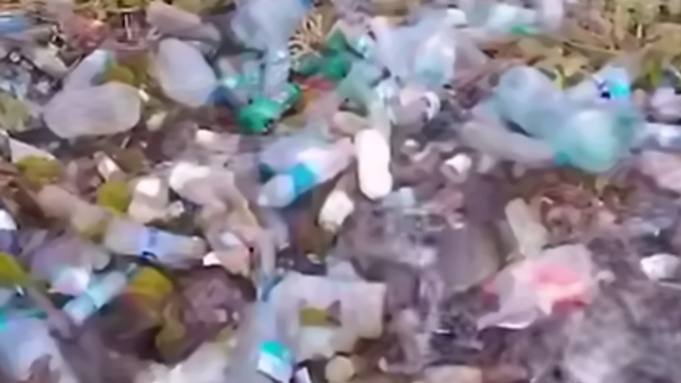 Свалка на роднике / Кадр из видео: Mash Siberia