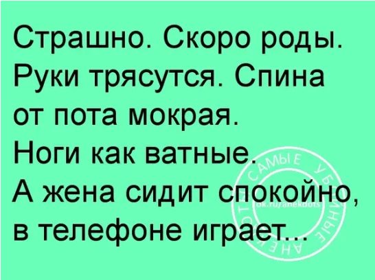 Шейх заходит в свой гарем и шепчет на ушко одной из жен... весёлые