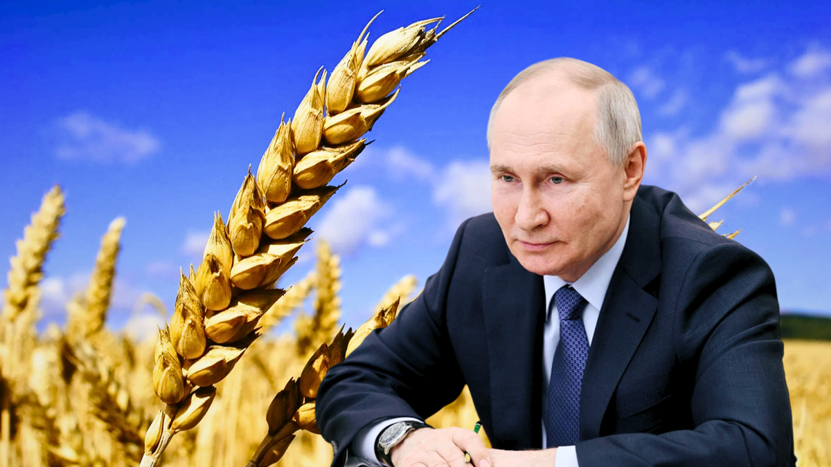 Россия перекрыла кислород западным зерновым трейдерам и взяла под контроль рынок зерна
