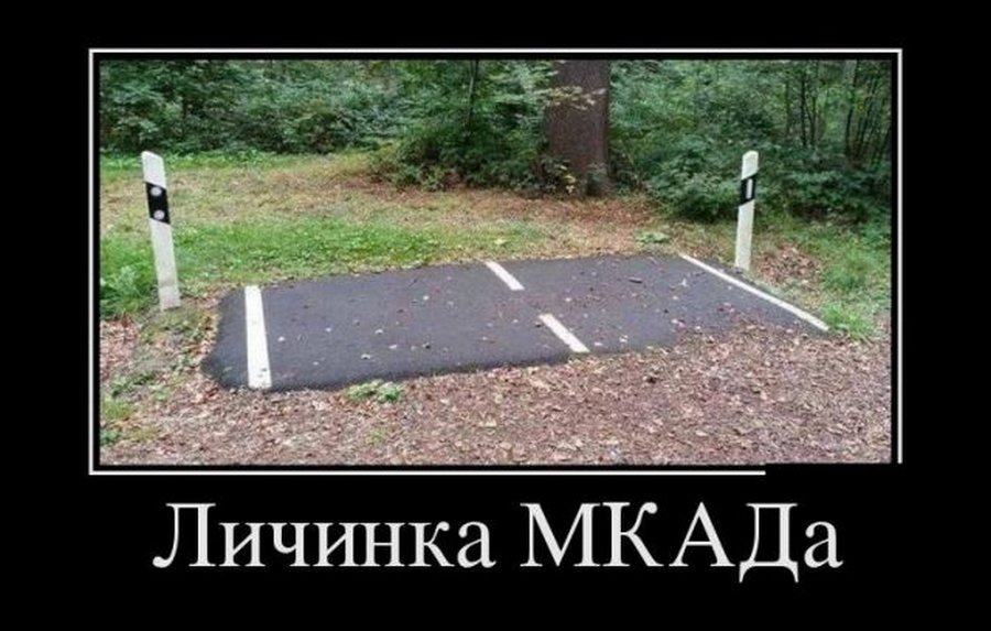 Ищите и обрящете картинки