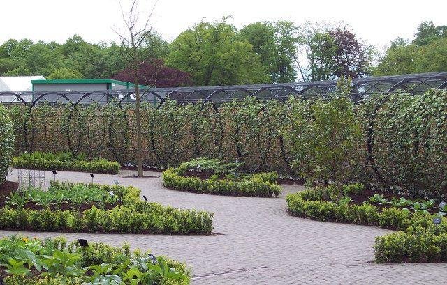 Ядовитый сад в Великобритании привлекает туристов 