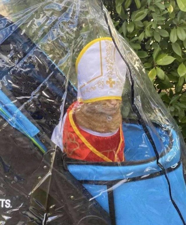 Приколы на любой вкус приколы,смешные картинки,юмор