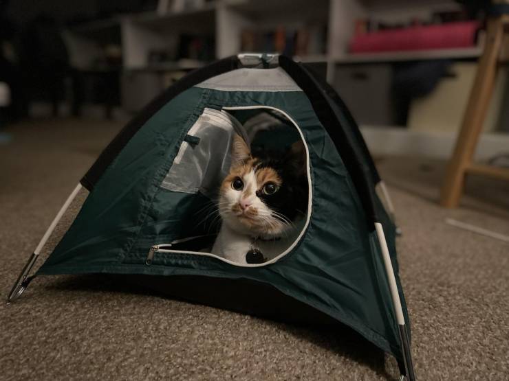 Подборка прикольных картинок  приколы,смешные картинки,юмор