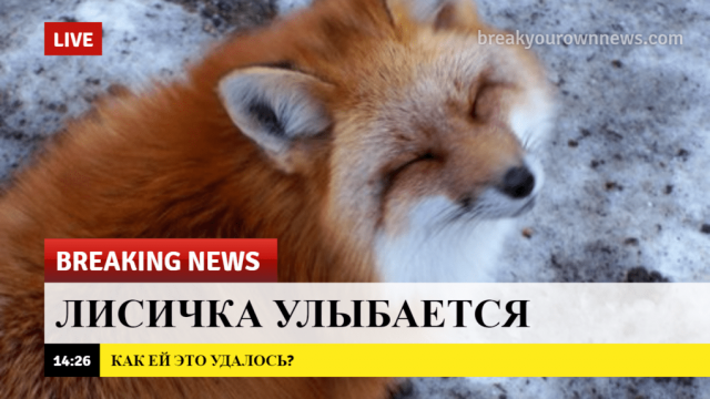breaking-news