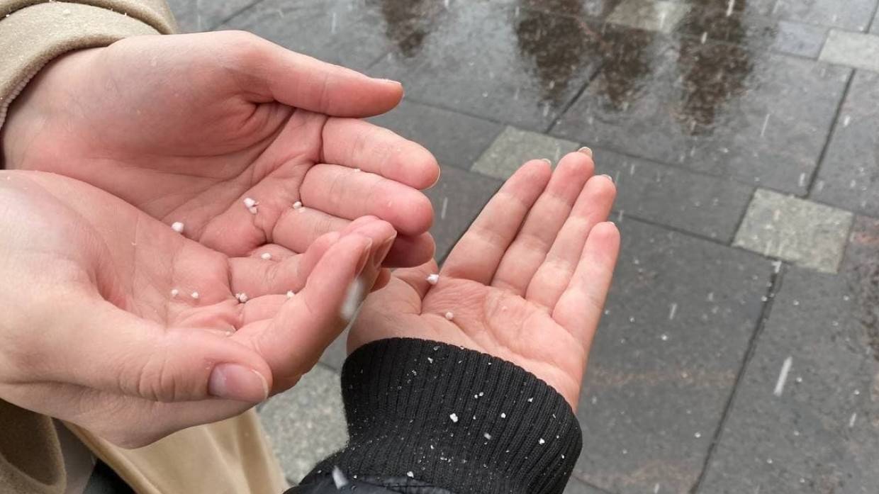 Столичные синоптики предупредили москвичей о выпадении первого снега 19 октября