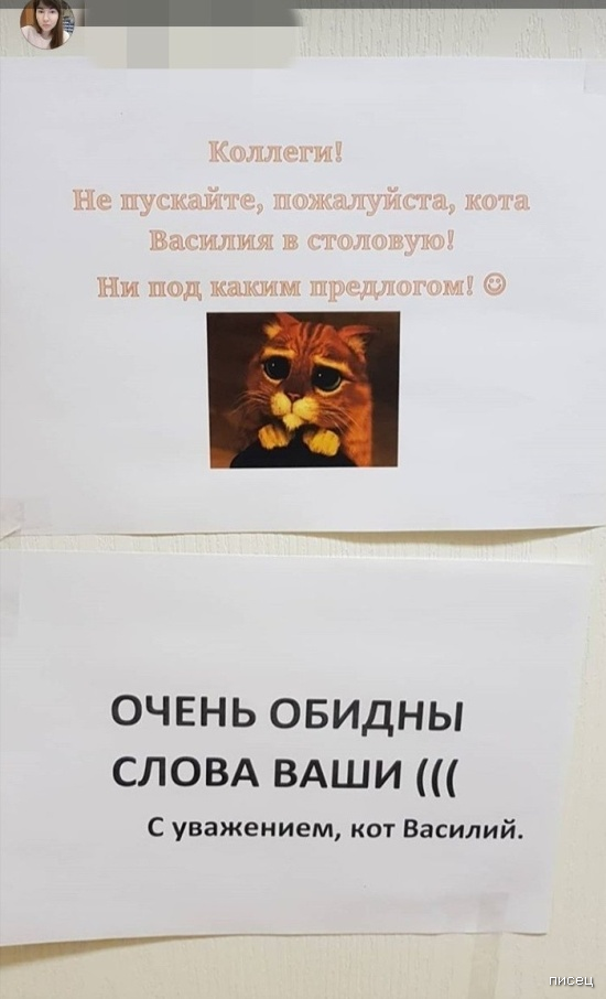 Друзья, скажите, а у вас на работе, так же прикольно общаются? смешные картинки