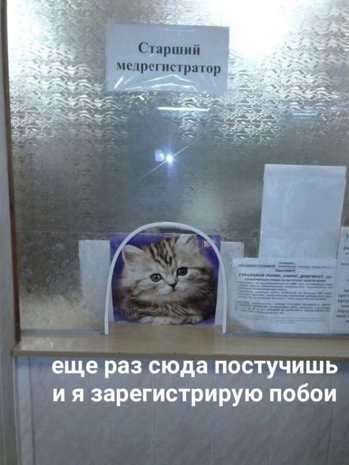 Прикольные картинки с надписями и холодец 