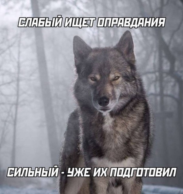 Весёлые картинки для настроения: «Когда спала лицом в подушку»  