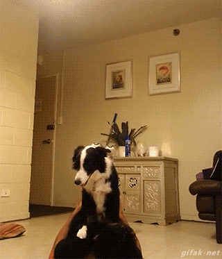 Позитивные и веселые гифки Позитивные и веселые гифки