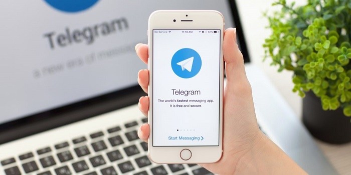 боты телеграм