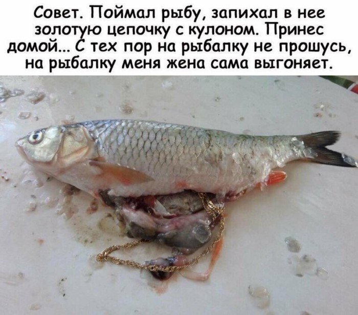 17 откровений и хитростей от людей, которые поняли всю суть этой жизни 17 откровений и хитростей от людей, которые поняли всю суть этой жизни