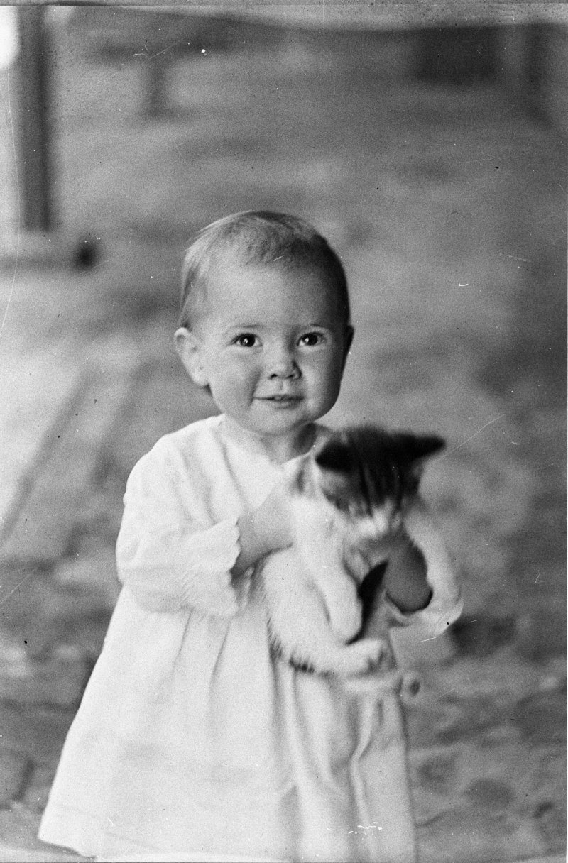 20 фотопримеров трогательной дружбы детей и кошек 20 фотопримеров трогательной дружбы детей и кошек дети, животные, кот, котенок