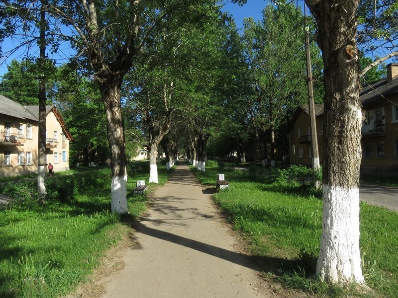 Сланцы. Город имени горной породы Сланцы. Город имени горной породы путешествия, факты, фото