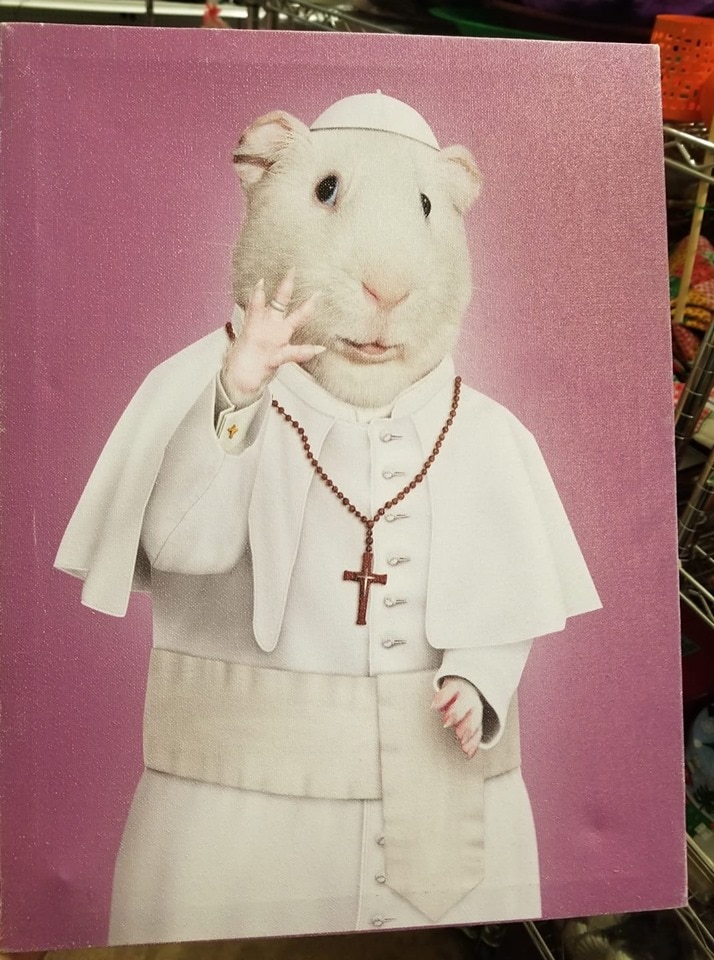 17 чудаковатых товаров, которые озадачили покупателей барахолок и секонд-хендов 17 чудаковатых товаров, которые озадачили покупателей барахолок и секонд-хендов