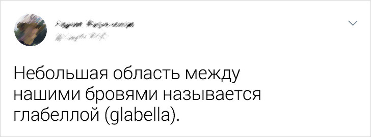 20+ фактов о человеческом теле, о которых не знает большинство людей доказательства,загадки,спорные вопросы