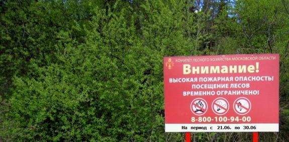 В Подмосковье введено временное ограничение пребывания граждан в лесах и въезд в леса машин