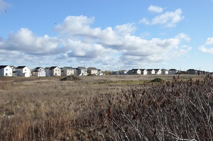 В некоторых местах Канады можно купить участок земли под строительство дома за символическую плату. | Фото: myhomemontreal.com.