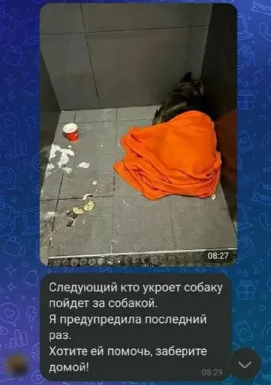 Основатель 