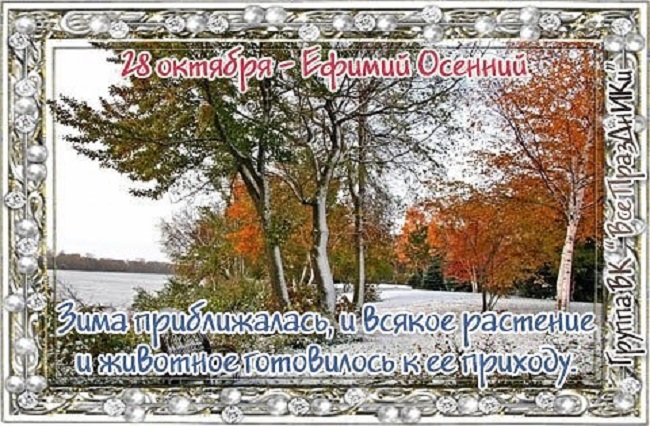 http://mtdata.ru/u20/photo0548/20986174323-0/original.jpeg