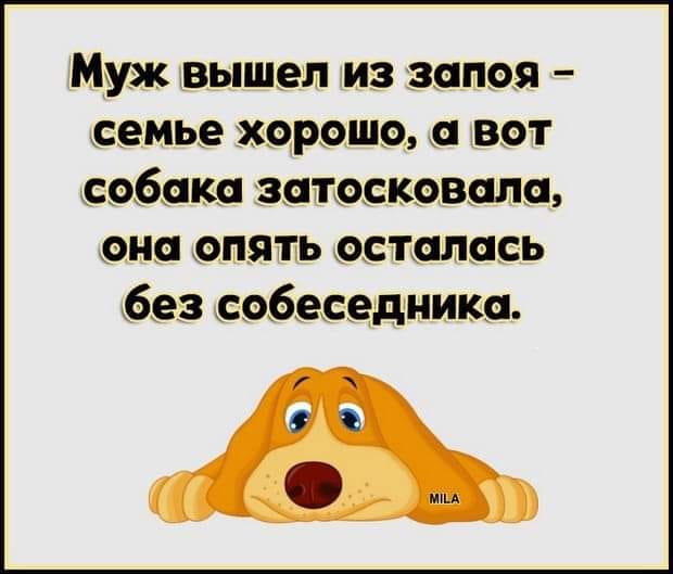 У меня есть сила воли, но её победила сила лени... анекдоты,демотиваторы,приколы,юмор