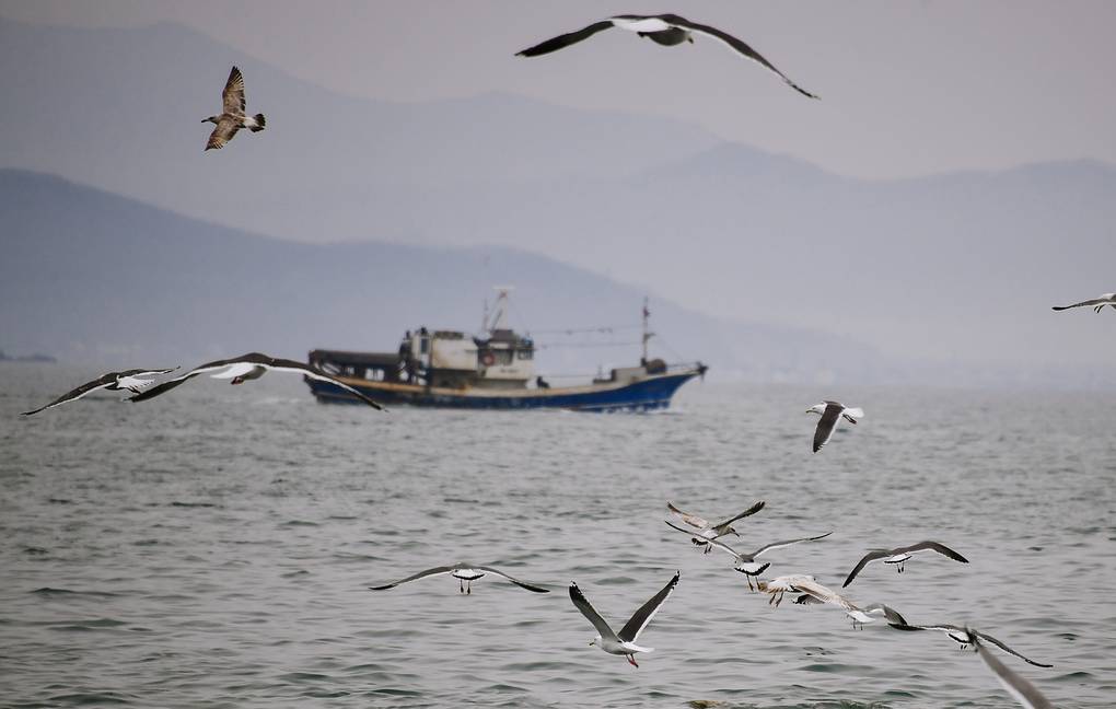 Последние новости России — сегодня 24 июля 2019 Последние новости России — сегодня 24 июля 2019 россия