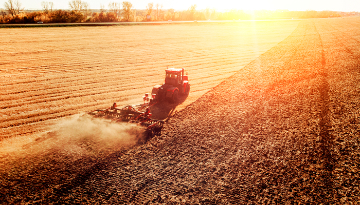 Запретим всё: Как развиваются взаимные санкции России и Украины Запретим всё: Как развиваются взаимные санкции России и Украины украина