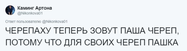 Пользователи соцсетей о необычных кличках домашних питомцев юмор