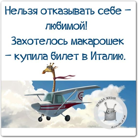 Голосует девушка у дороги. Останавливается водитель и спрашивает... Весёлые