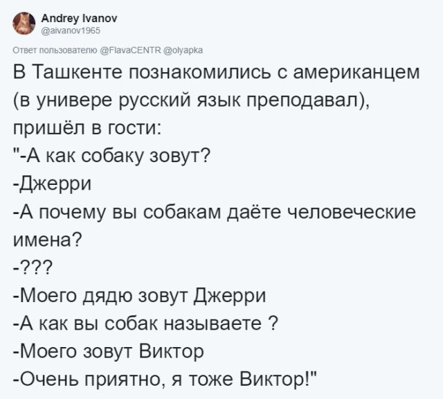 Пользователи соцсетей о необычных кличках домашних питомцев юмор