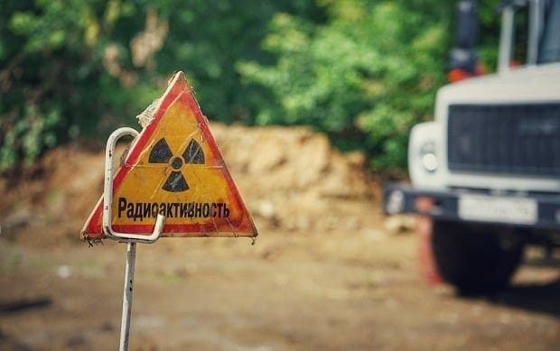 20 снимков из Чернобыля, показывающие, как природа восстанавливает заражённую землю история,туризм