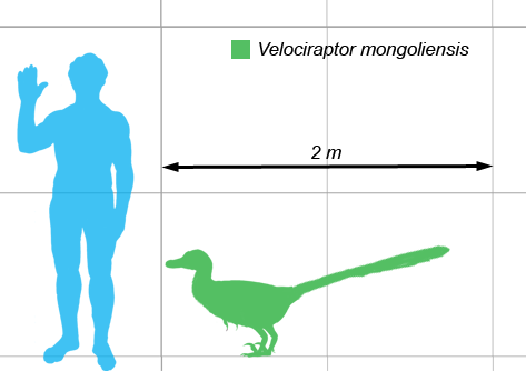 Vraptor-scale