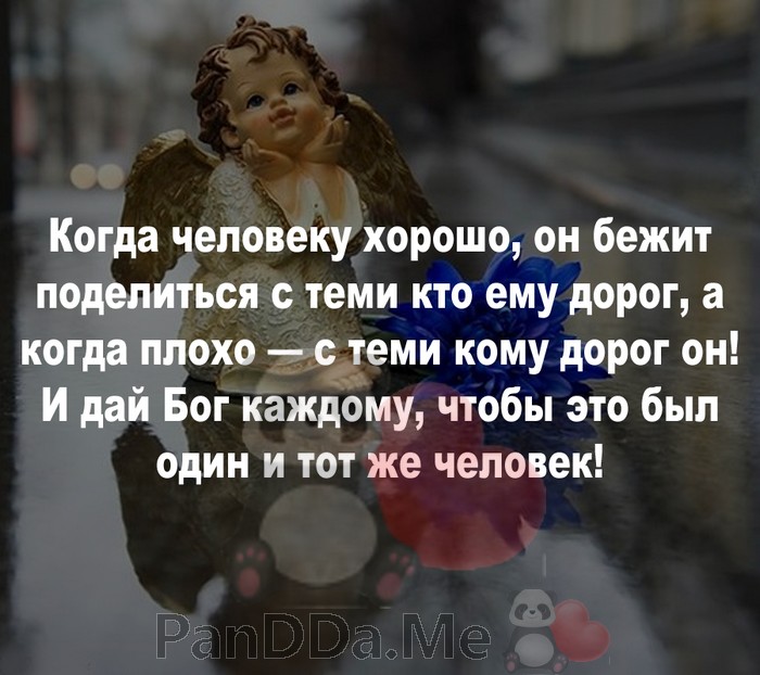 Предлагаем насладиться свежей порцией из 15 коротких смешных и жизненных историй Предлагаем насладиться свежей порцией из 15 коротких смешных и жизненных историй