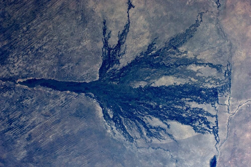 Вид сверху на устье реки Окаванго/ © ibtimes.co.uk