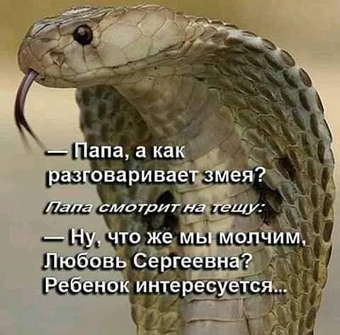 Мораль сказки «Колобок»: ешь, пока тёплое клетки, Доплелся, двери, морской, очень, открылись, каждый, Новый, увидели, дивана, тряпкой, странный, накрыл, выпил, стакан, налил, рухнул, прошел, Голос, Зашибись