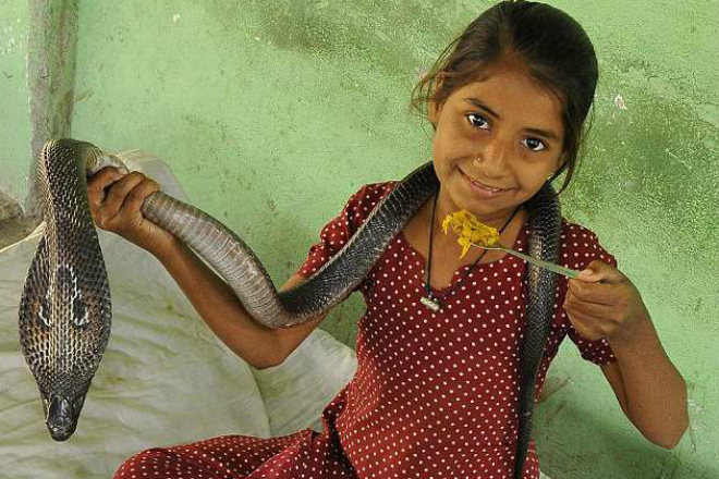 Индийская девочка-кобра, которая живет со змеями культура