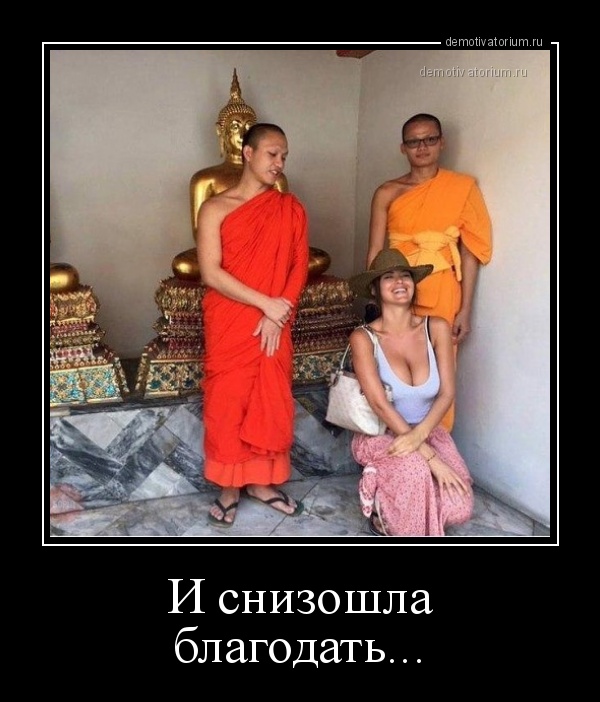 Свежие, веселые и смешные демотиваторы для поднятия настроения Свежие, веселые и смешные демотиваторы для поднятия настроения свежие демотиваторы 2019