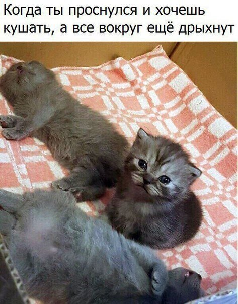 Картинки с надписями  